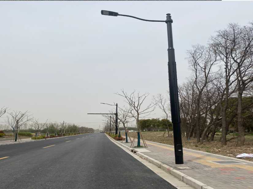大东区上海综合杆 太阳能路灯工程
